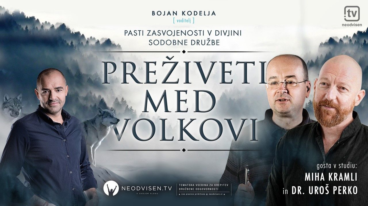 Preziveti Med Volkovi